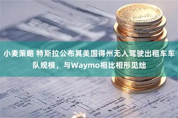 小麦策略 特斯拉公布其美国得州无人驾驶出租车车队规模，与Waymo相比相形见绌